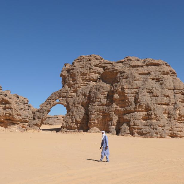 Wüste in Algerien: Ein Fels in Form eines Elefanten