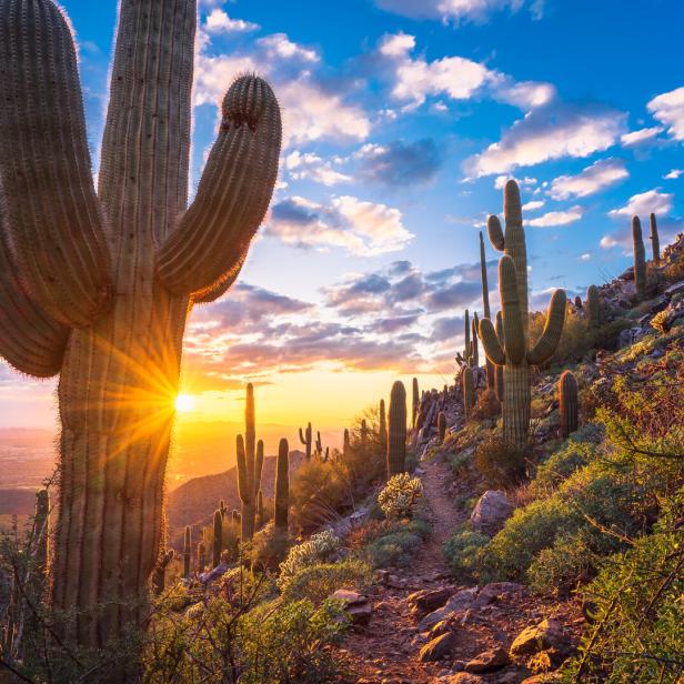 Tom's Thumb trail leads through beautiful Sonoran Desert mountain landscape towards an awesome sunset in The McDowell Sonoran Preserve