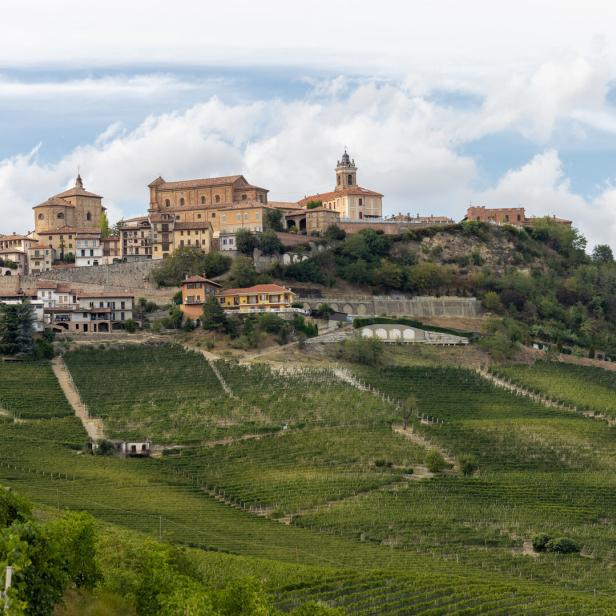 Langhe vineyards near La Morra,  Piedmont, Italy