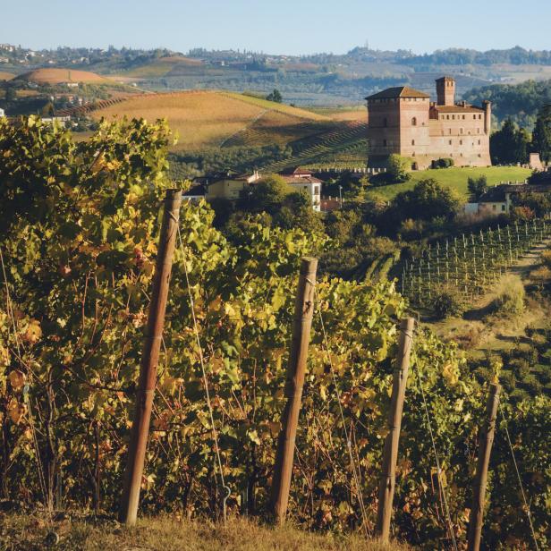 Sunset in autumn, during harvest time, at the castle of Grinzane Cavour, surrounded by the vineyards of Langhe, the most importan wine district of Italy