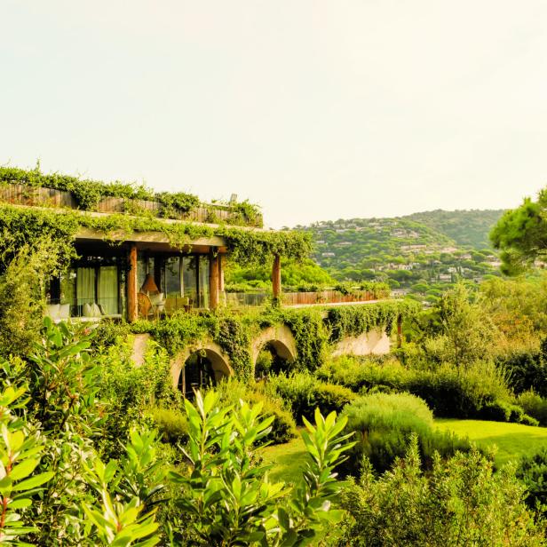 Das Lily of the Valley