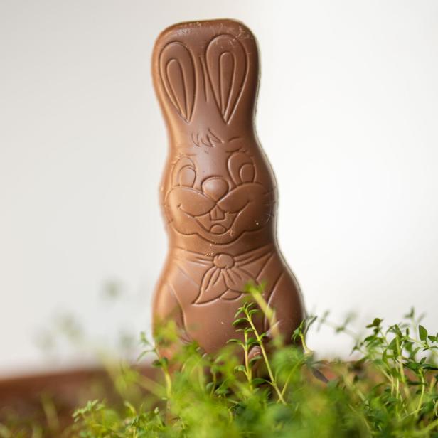 Ein Schokoladenhase steht in einem Blumentopf zwischen grünen Pflanzen.