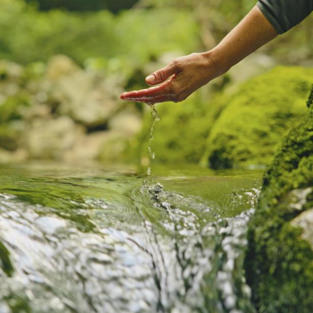 Eine Hand schöpft Wasser aus einem klaren Bach.
