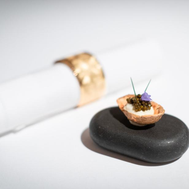 Haubenkoch Juan Amador