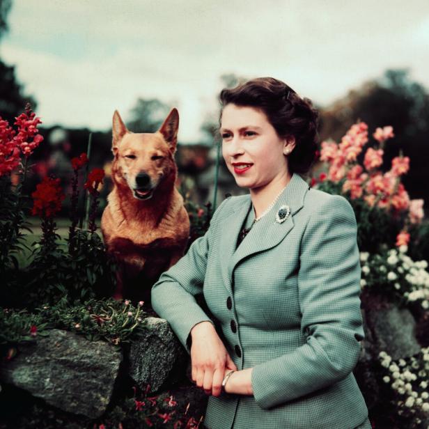 Queen Elizabeth in Garden with Dog