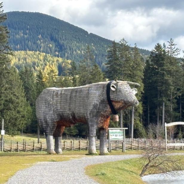 Almochse am Ufer des Teichalmsees.