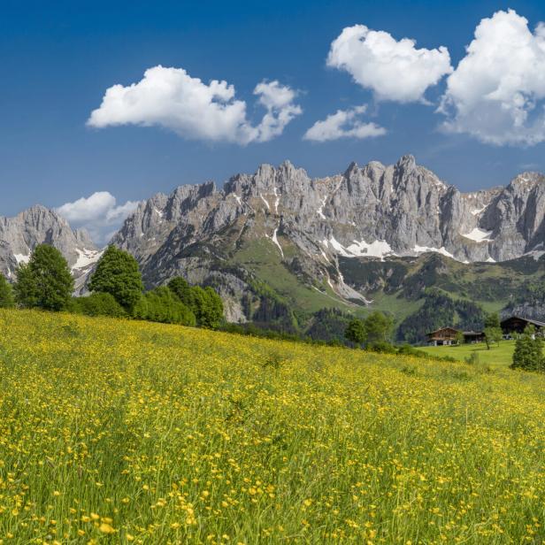 Idyllic alpine scenery, farmhouse in front of Wilder Kaiser, Austria, Tirol - Kaiser Mountains