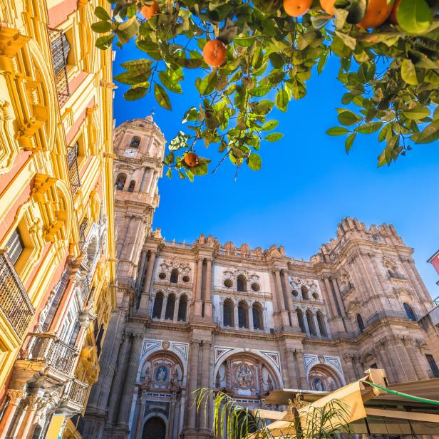 Malaga cathedral and square colofrul architecture street view