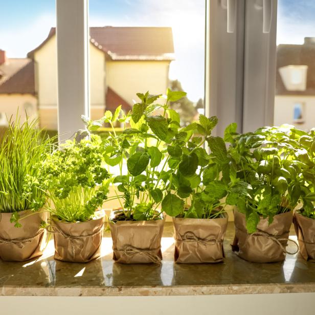 Verschiedene Kräuter wie Schnittlauch und Basilikum stehen in Töpfen auf einem Fensterbrett.