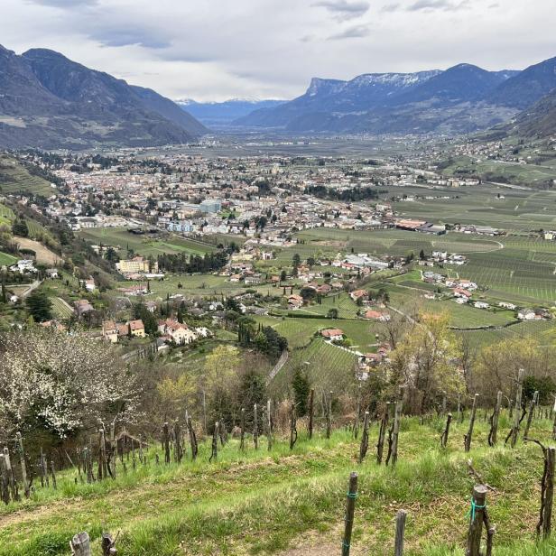 Blick auf Meran