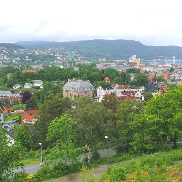 Eine Stadtansicht mit Häusern, Bäumen, einem Fluss und Bergen im Hintergrund unter bewölktem Himmel.