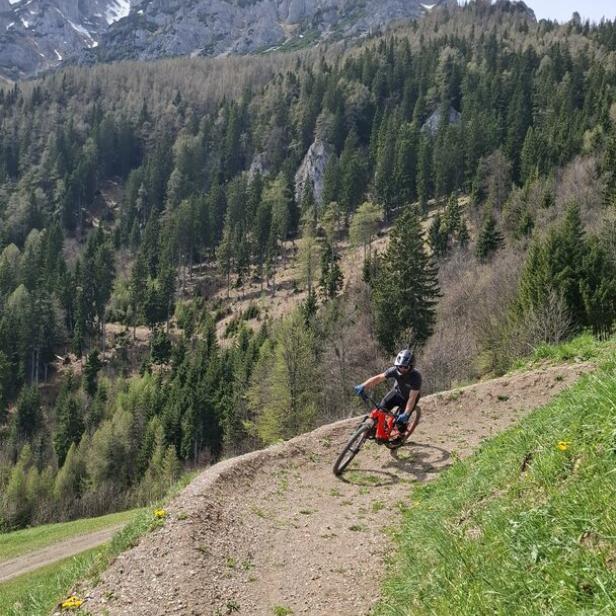 Alpen Bikepark Schneeberg
