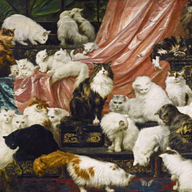 Viele Katzen mit verschiedenem Fell sitzen und liegen dicht beieinander vor einem drapierten, rosa Stoff.