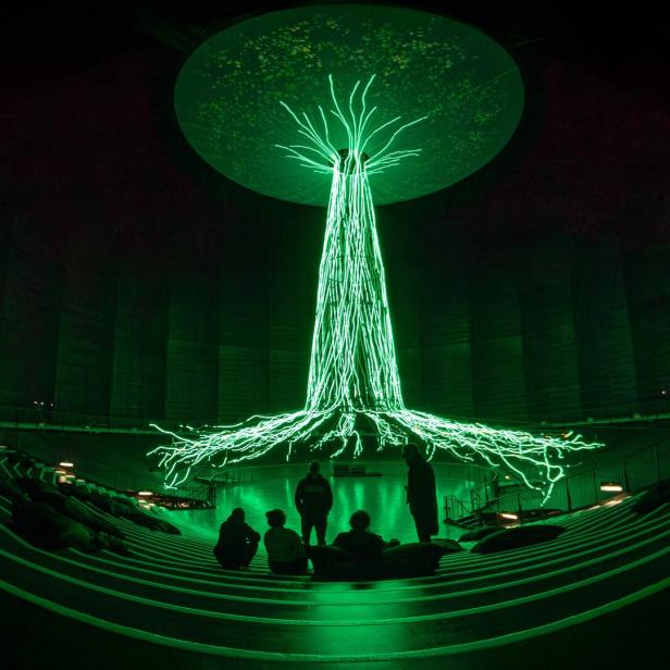 Im Raum mit Zuschauerrängen steht eine grüne Lichtinstallation, die an einen Baum erinnert.