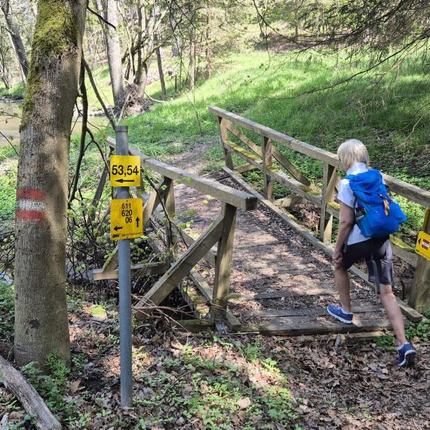 Eine Person mit blauem Rucksack überquert eine kleine Holzbrücke im Wald, neben einem Bach und Wanderwegweisern.