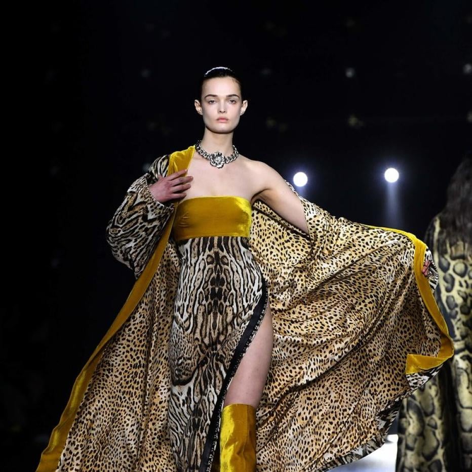 Cavalli will wieder durchstarten ShopEröffnung in Wien