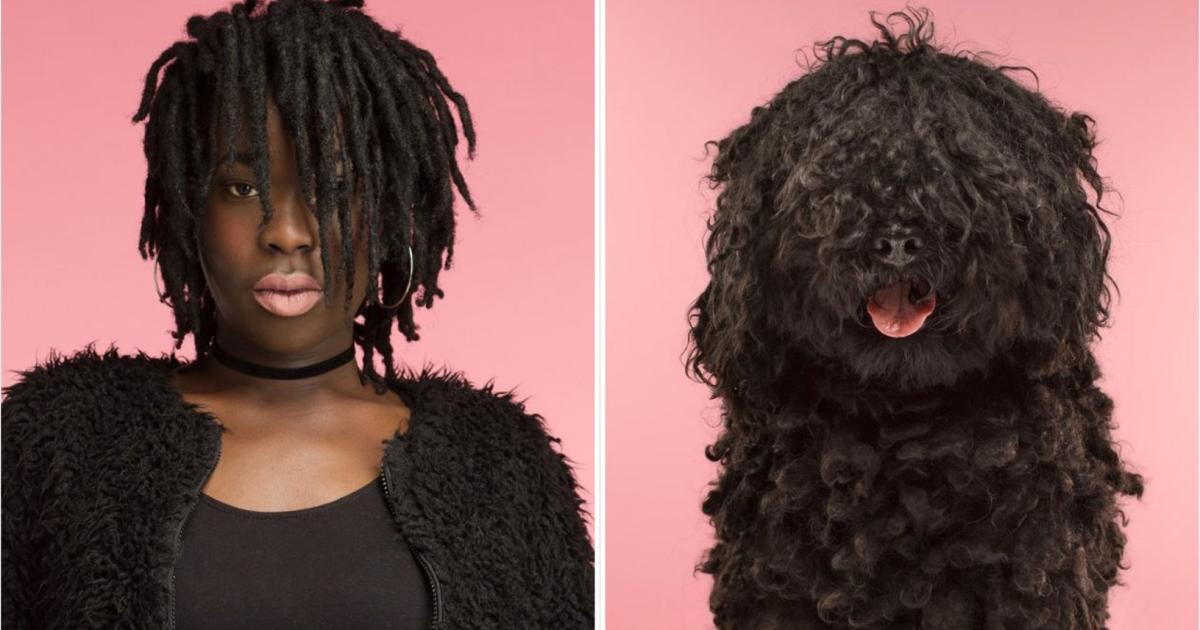 Hunde Die Aussehen Wie Ihre Besitzer Diese Hunde sehen aus wie ihre Besitzer - oder umgekehrt?