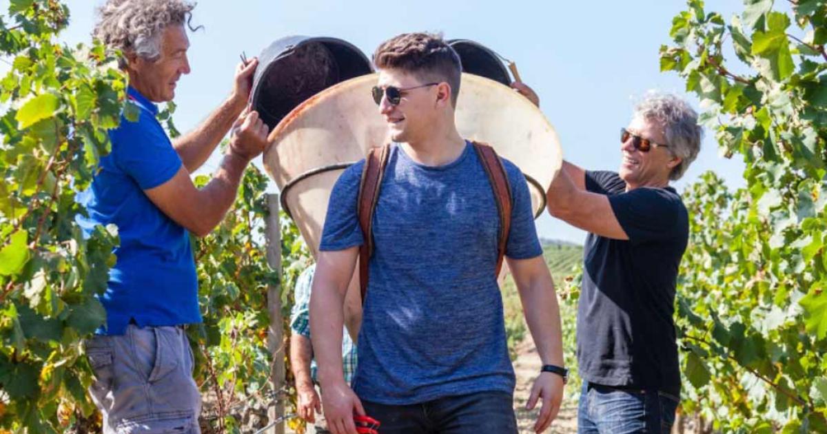 Jon Bon Jovi macht Rosewein