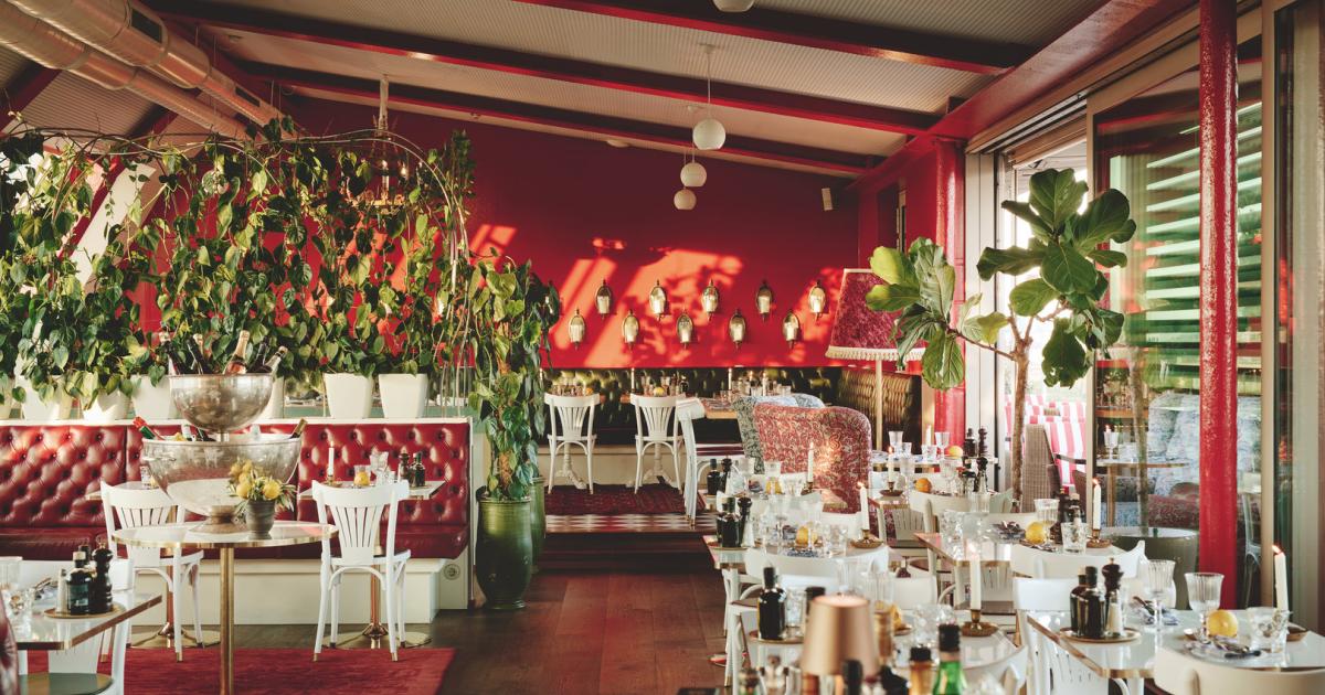 So schmeckt's im Limón im 1. Bezirk